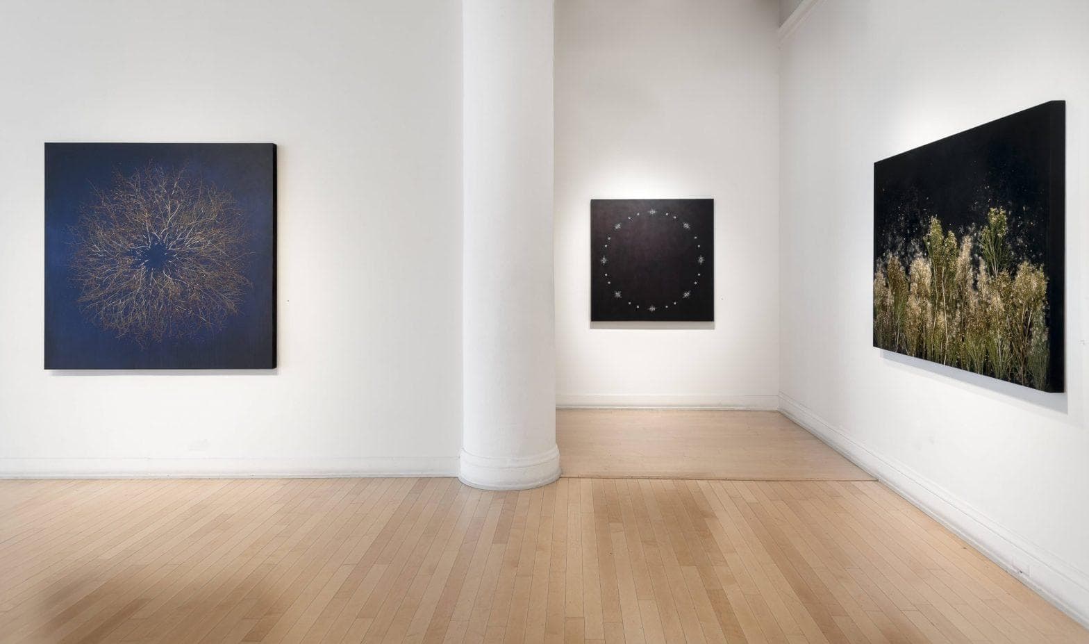 Terry Powers: The Shimmering World