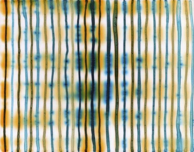 Jaq Chartier: Variations