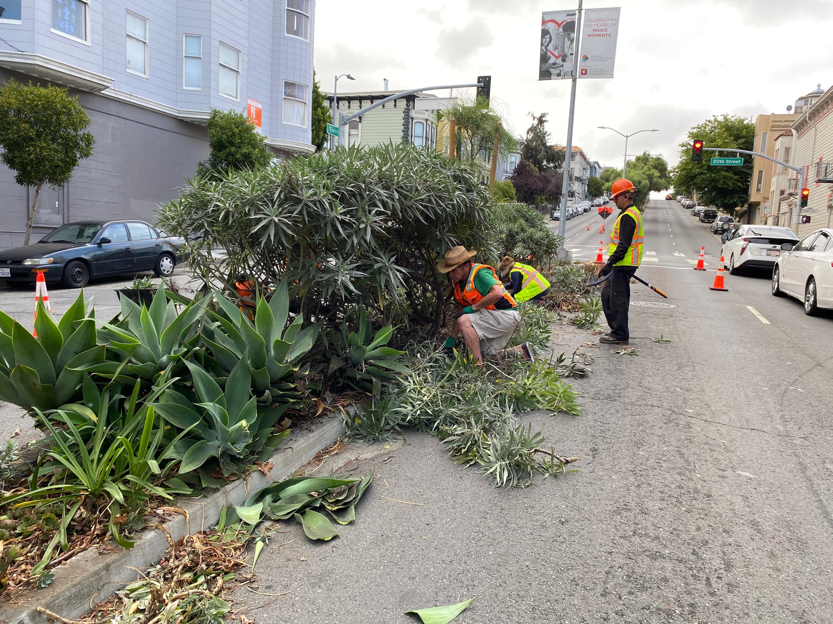 Guerrero Median Beautification Day - 500 block