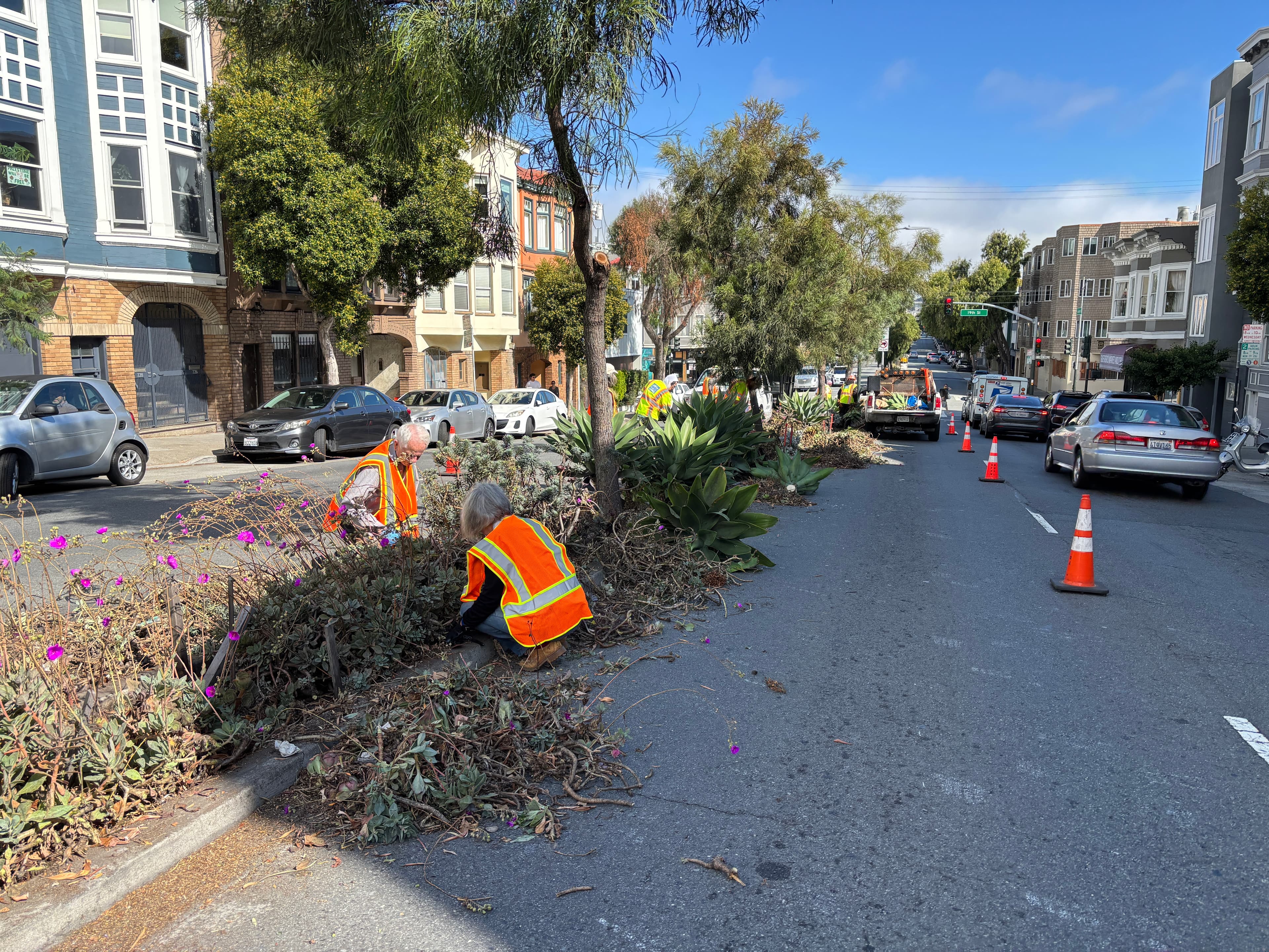 Guerrero Median Beautification Day - 300 block and 400 block
