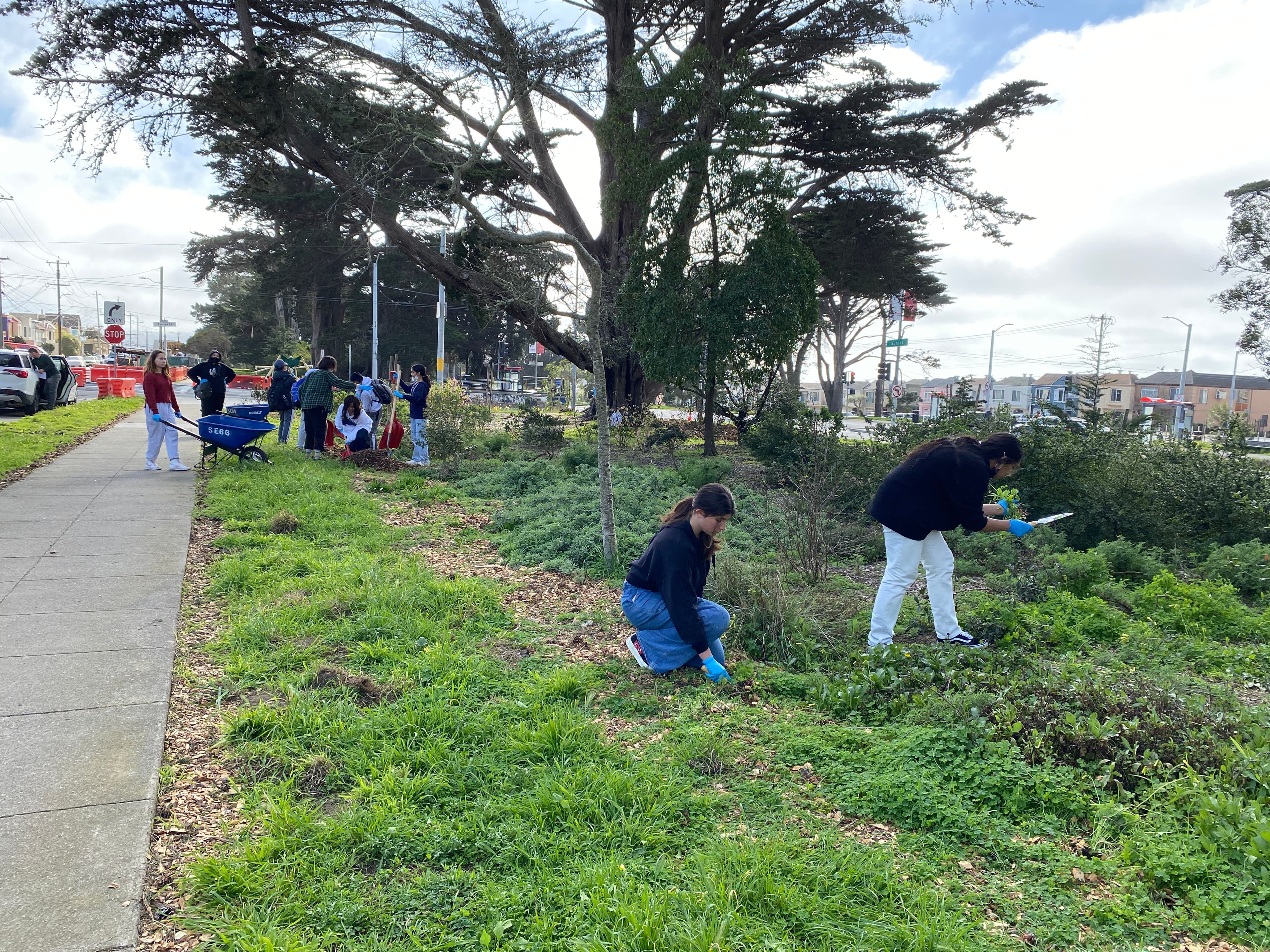 Greening Day at Sunset Blvd Gardens (36th Ave and Santiago)