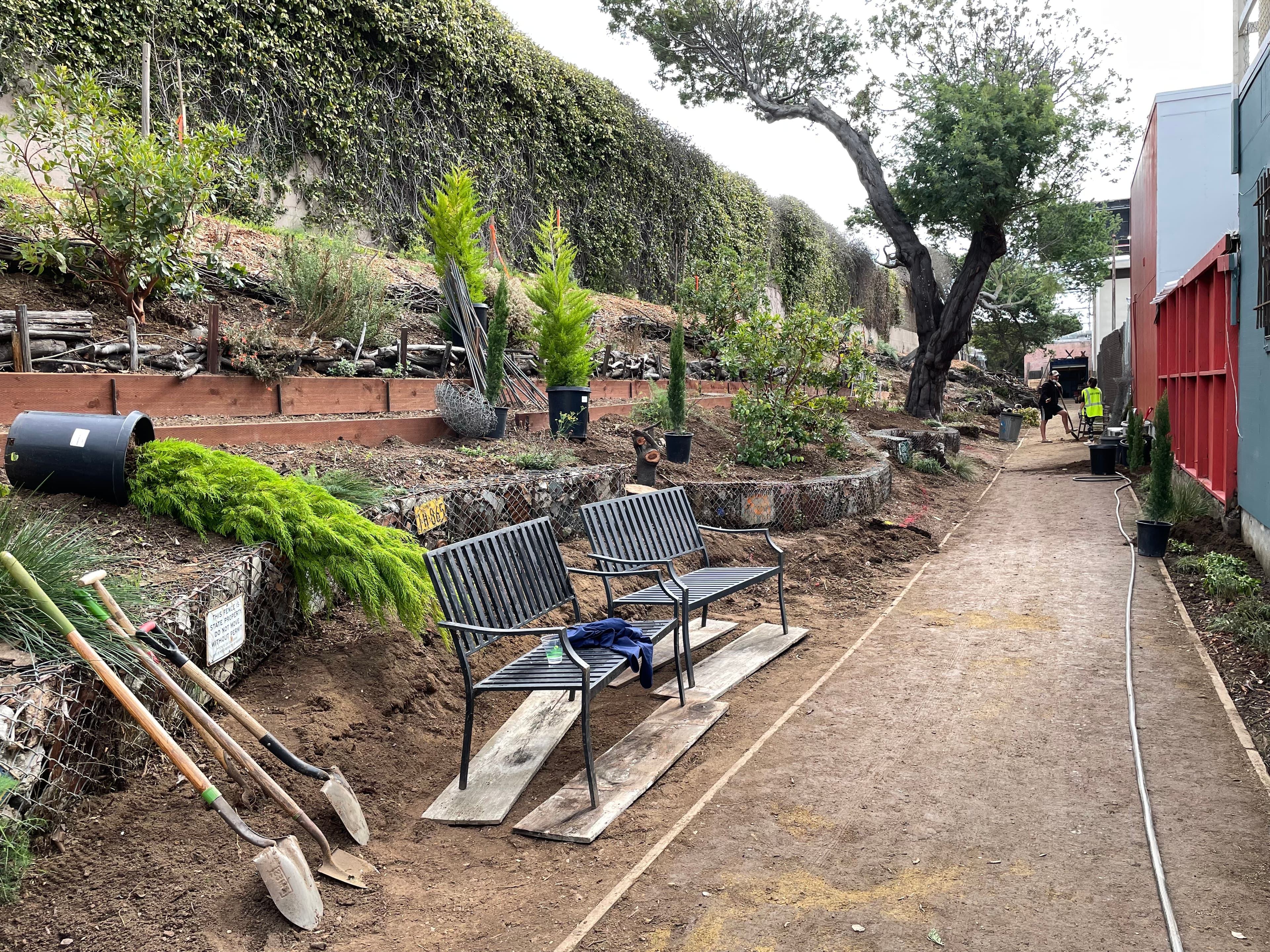 Garden Club at Burrows Pocket Park and The Green In-Between